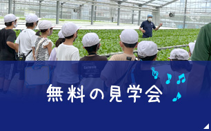 無料の見学会