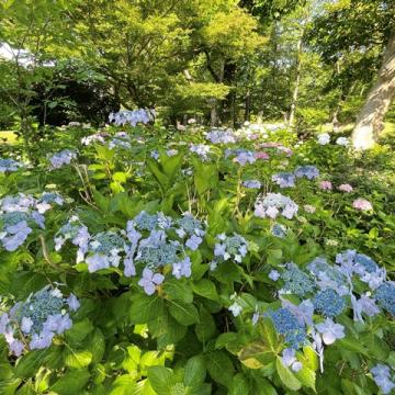 5月もおわりです。