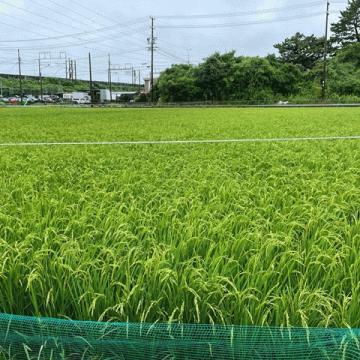 今日から7月！雨降りのはじまり・・。