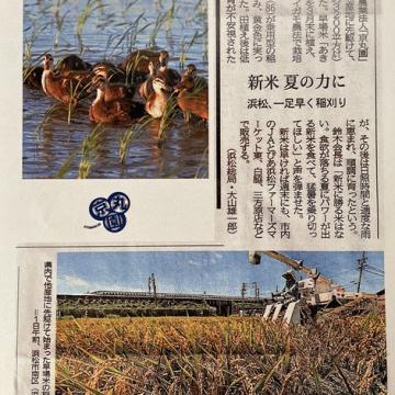 静岡新聞の夕刊に掲載されました。