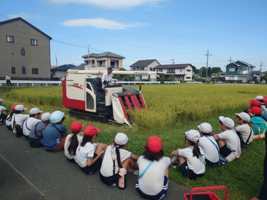 飯田小学校の稲刈り！