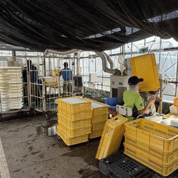 洗い物も大切な仕事！