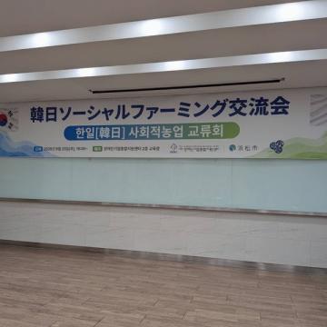韓国への旅！