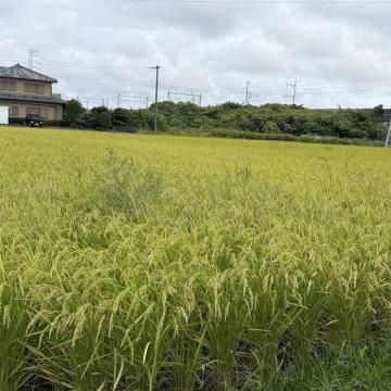 東京ビックサイトでの展示会ありがとうございました。