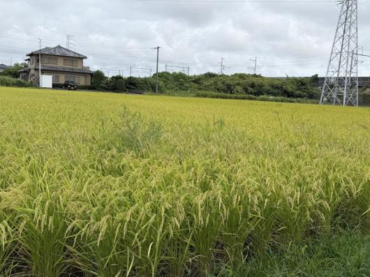 東京ビックサイトでの展示会ありがとうございました。