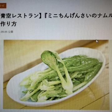 ミニちんげんのレシピ紹介！