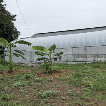 放送をご覧いただきありがとうございました。